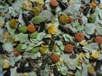 Rabbit Mix