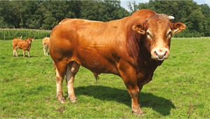 agricell